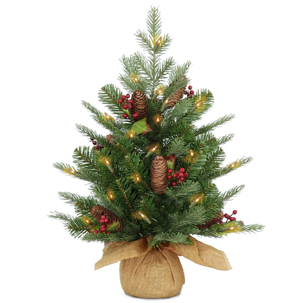 National Tree Company 2' Feel Real Nordic Spruce Tree w Cones & Berries in Burlap w Warm White Lights & Timer