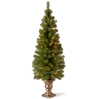 National Tree Company 5' Montclair Spruce Entrance Tree in 12" Black/Gold Plastic Pot with 100 Clear Lights