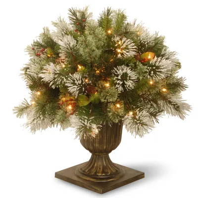 National Tree Company 24" Wintry Pine Porch Bush with Cones & Red Berries & 50 Clear Lights