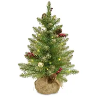 National Tree Company 2' Glittery Gold Dunhill Fir Tree in Burlap Base with Red Berries, Cones, Gold Ornaments & 15 Warm White Battery Operated Led Li