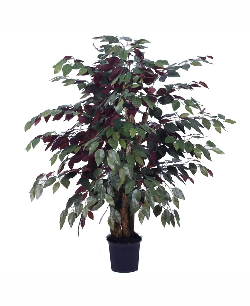 Vickerman 4' Artificial Capensia Extra Full, Comes In A Black Plastic Insertable Pot