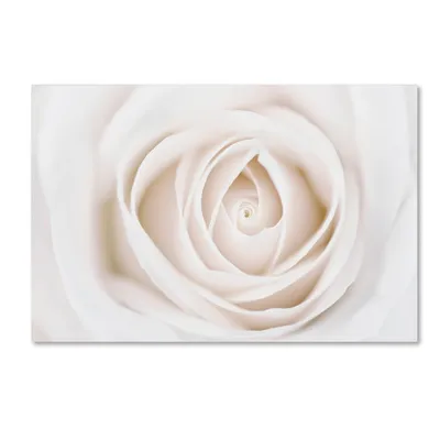Cora Niele 'White Rose' Canvas Art, 12" x 19"