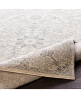 Livabliss Harput Hap-1069 Light Gray 2'7" x 7'3" Area Rug