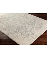 Livabliss Harput Hap-1024 Gray 2'7" x 12' Area Rug