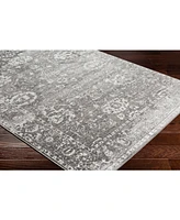 Livabliss Monte Carlo Mnc-2311 6'7" x 9' Area Rug