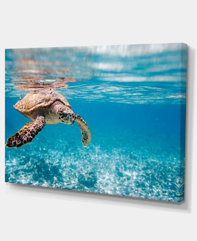 Large Sea Turtle Wall Art Print  Green Sea Turtle Painting On Canvas