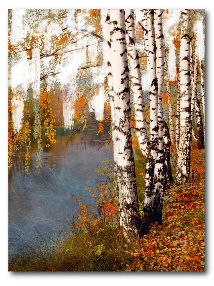 Courtside Market Birch Dream Gallery-Wrapped Canvas Wall Art - 16" x 20"