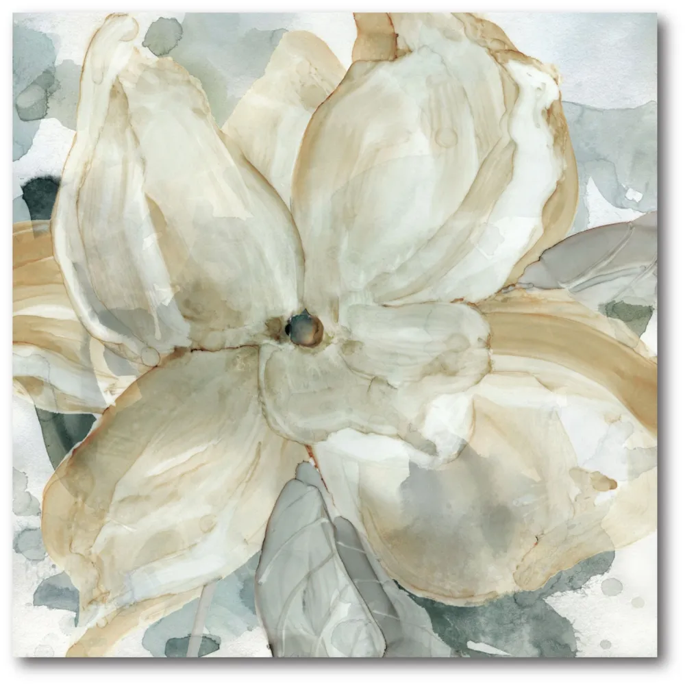 Courtside Market Crean Petals Gallery-Wrapped Canvas Wall Art - 16" x 16"