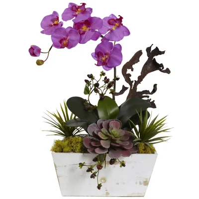 Nearly Natural Orchid and Succulent Garden w/ White Wash Planter