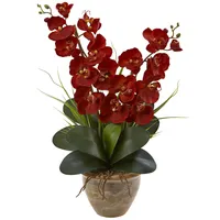 Nearly Natural Double Phalaenopsis Harvest Silk Orchid Arrangement in Ceramic Vase