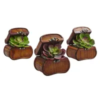 Nearly Natural Echeveria in Chest, Set of 3