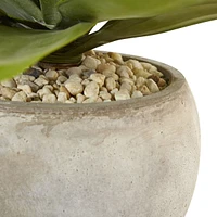 Nearly Natural 24" Agave Artificial Plant in Sand Colored Bowl