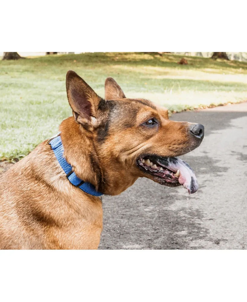 Pet Life 'Aero Mesh' 360 Degree Breathable Adjustable Mesh Dog Collar
