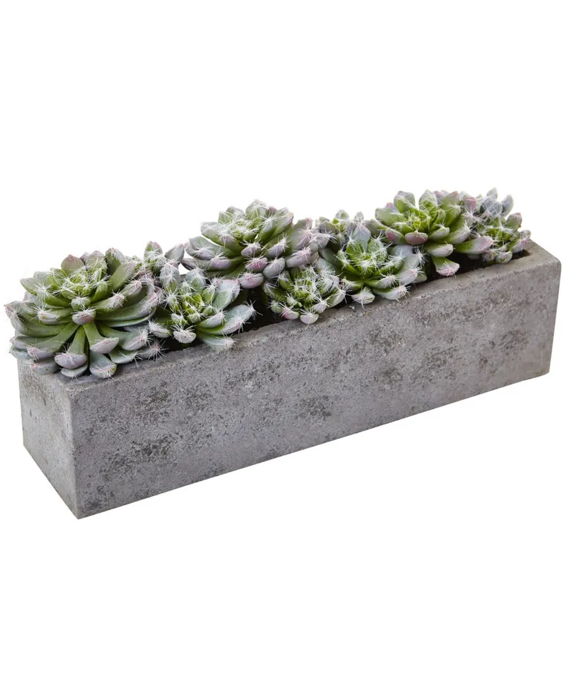 Nearly Natural Succulent Garden w/Textured Concrete Planter