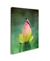 Jai Johnson 'Hummingbird And The Lotus Flower' Canvas Art - 32" x 24" x 2"