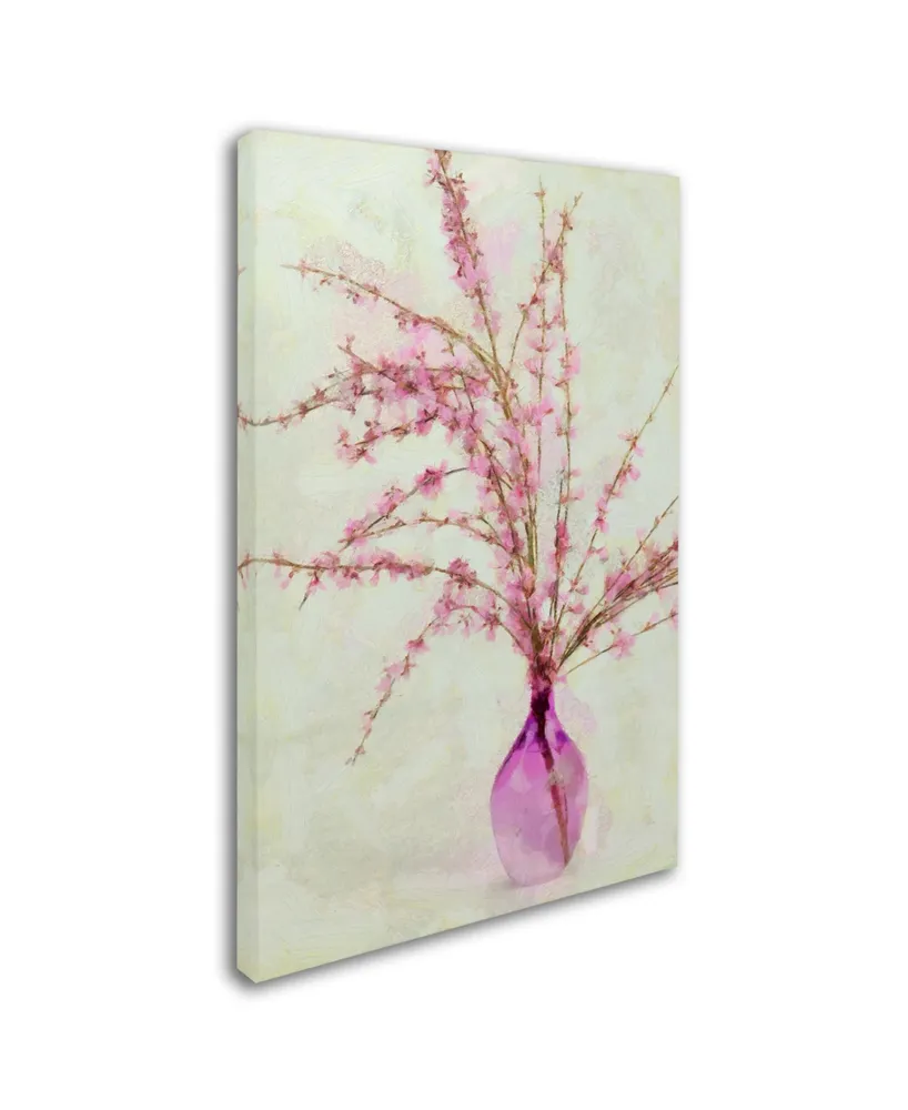 Cora Niele 'Pink Broom In Glass' Canvas Art - 24" x 16" x 2"