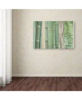 Cora Niele 'Green Bamboo Collage' Canvas Art - 19" x 12" x 2"