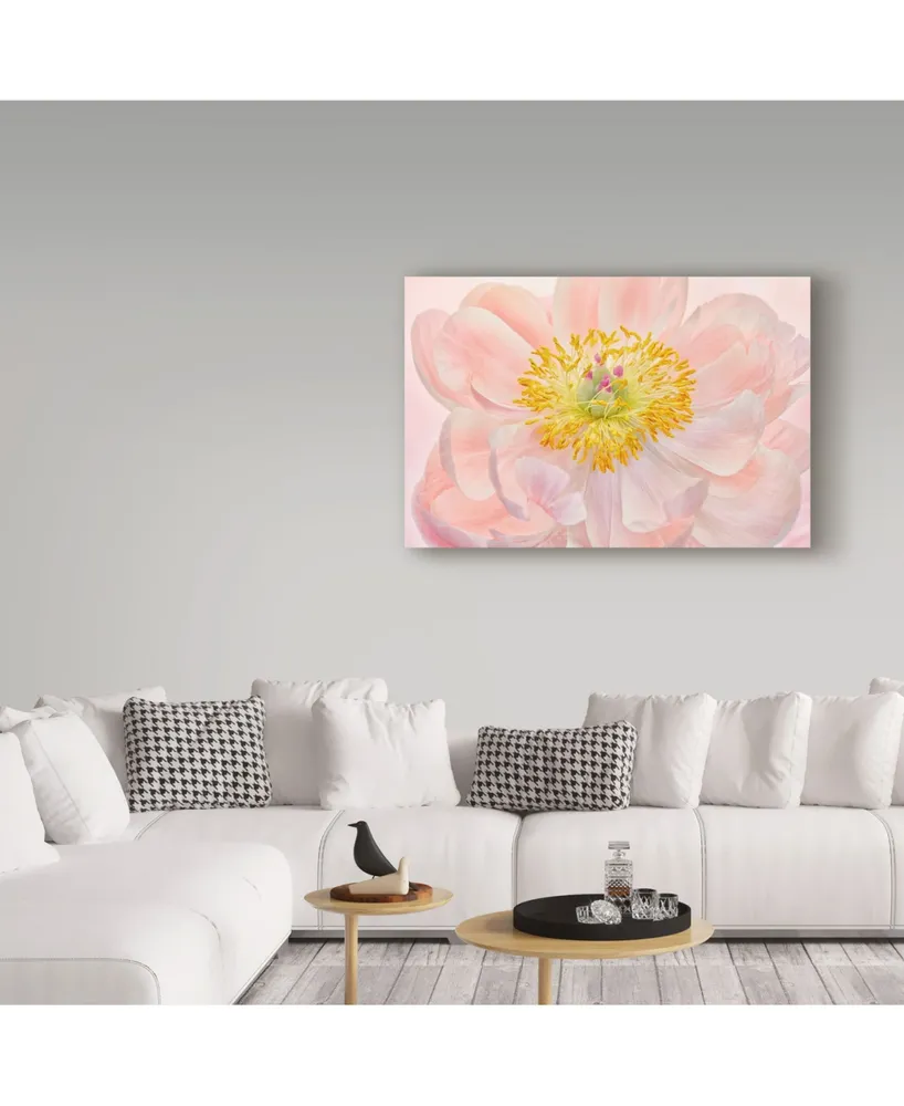 Cora Niele 'Salmon Pink Peony' Canvas Art - 32" x 22" x 2"