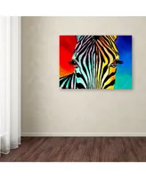 DawgArt 'Zebra' Canvas Art - 24" x 32" x 2"