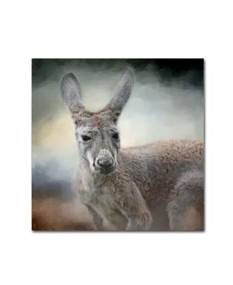 Jai Johnson 'Western Grey Kangaroo' Canvas Art - 35" x 35" x 2"
