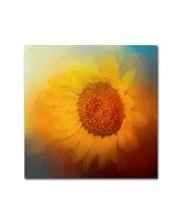 Jai Johnson 'Sunflower Surprise' Canvas Art - 14" x 14" x 2"