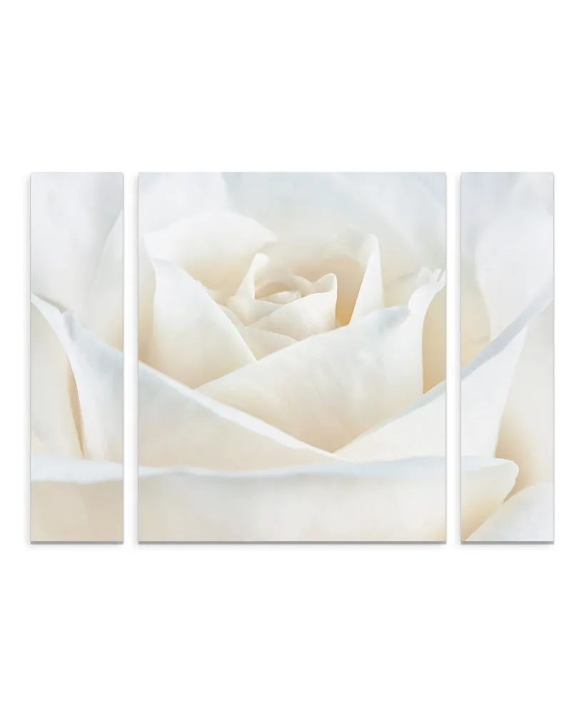 Cora Niele 'Pure White Rose' Multi Panel Art Set