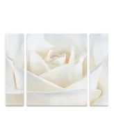 Cora Niele 'Pure White Rose' Multi Panel Art Set