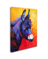 Marion Rose 'Donkey Ivx' Canvas Art - 47" x 35" x 2"