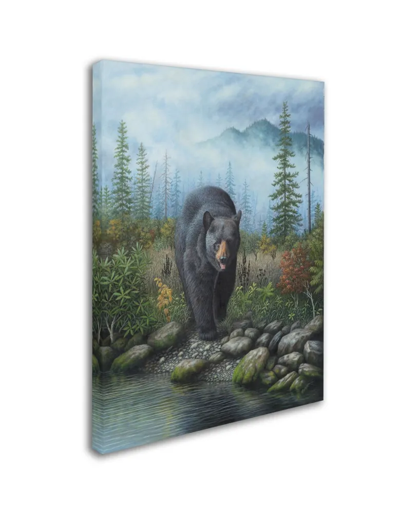 Robert Wavra 'Smoky Mountain Black Bear' Canvas Art