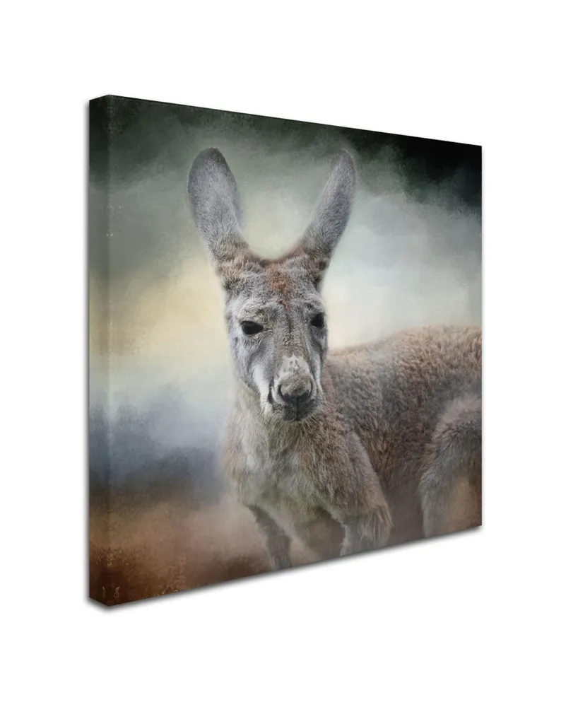 Jai Johnson 'Western Grey Kangaroo' Canvas Art - 35" x 35" x 2"