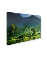 Hardibudi 'Painting Of Nature' Canvas Art