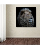 Louise Wolbers 'Proud Lion' Canvas Art - 24" x 24" x 2"