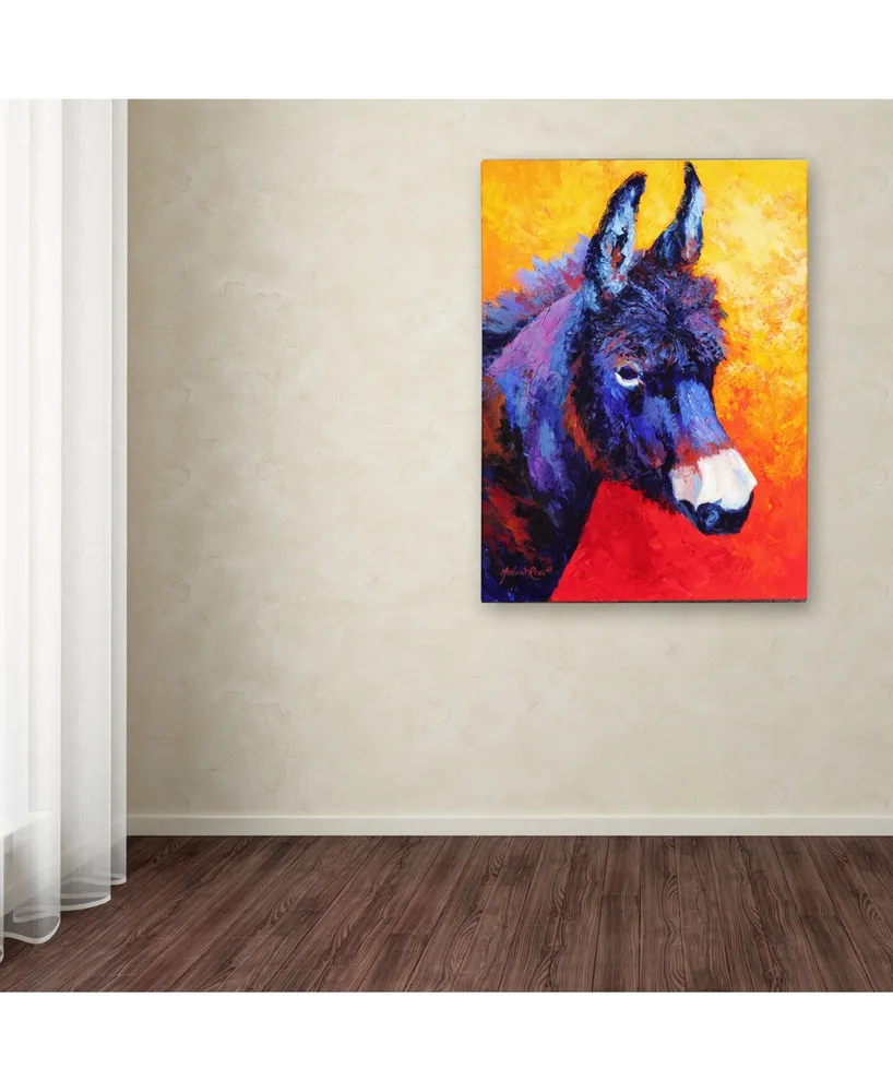 Marion Rose 'Donkey Ivx' Canvas Art - 47" x 35" x 2"