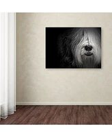 Lori Hutchison 'Sheepdog' Canvas Art - 24" x 18" x 2"