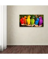 Mike Jones Photo 'Rainbow Parrots' Canvas Art