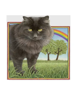 Francien Van Westering 'Black Cat And Rainbow' Canvas Art - 14" x 14"