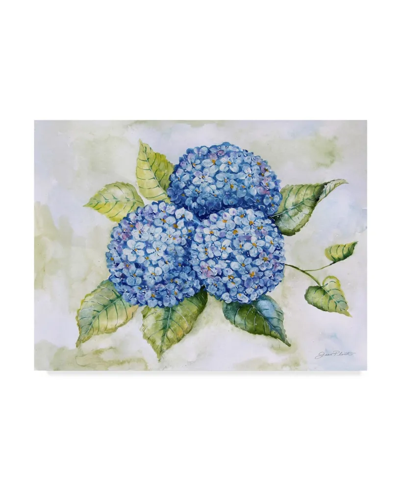 Jean Plout 'Hydrangeas 1' Canvas Art - 19" x 14"