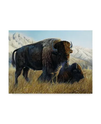 Rusty Frentner 'Resting Buffalo' Canvas Art - 35" x 47"
