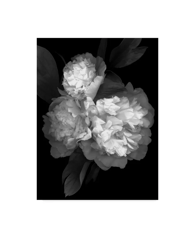 Susan S. Barmon 'Peony 3 Black And White' Canvas Art - 35" x 47"