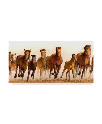 James W. Johnson 'Running Horses Group' Canvas Art