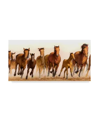 James W. Johnson 'Running Horses Group' Canvas Art - 32" x 16"