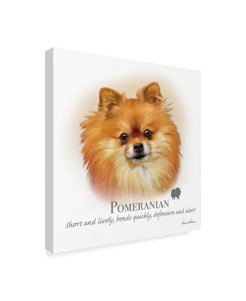 Howard Robinson 'Pomeranian' Canvas Art - 18" x 18"