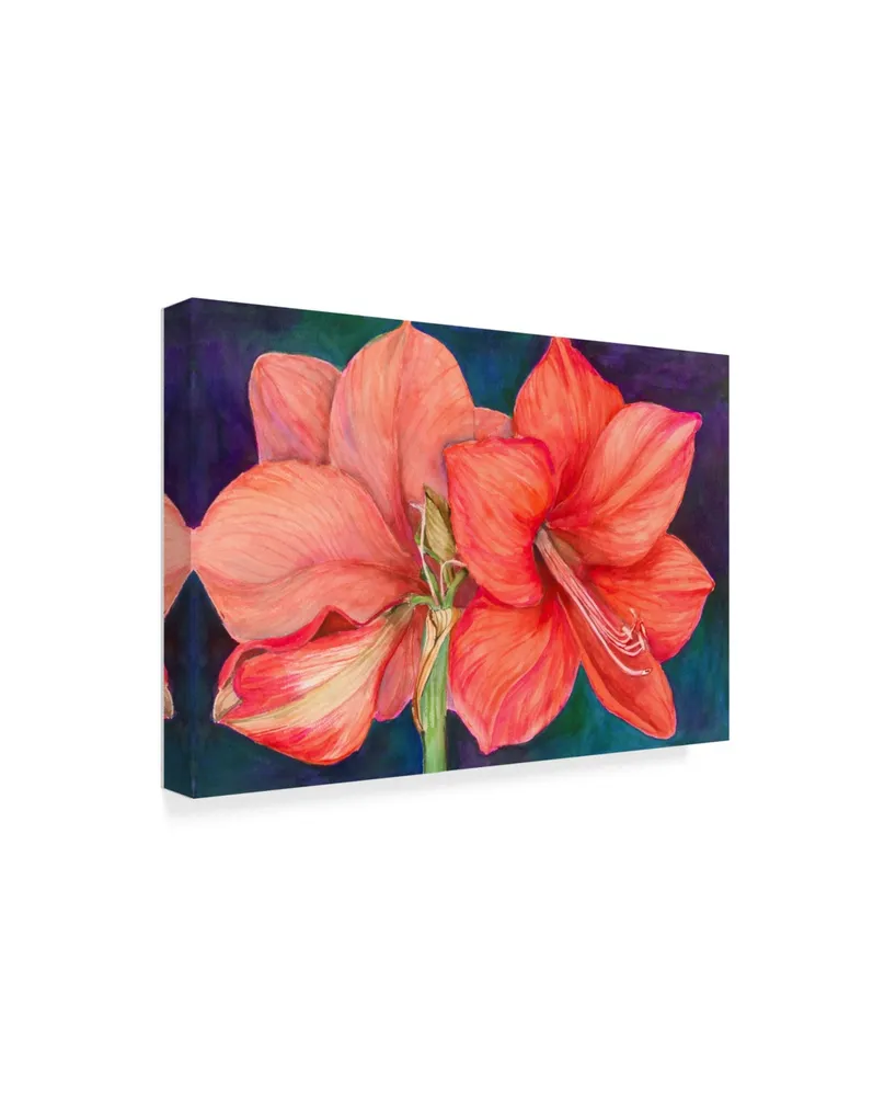 Joanne Porter 'Amaryllis Blooms' Canvas Art - 22" x 32"