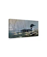 Wilhelm Goebel 'Loon In Reeds' Canvas Art - 16" x 32"