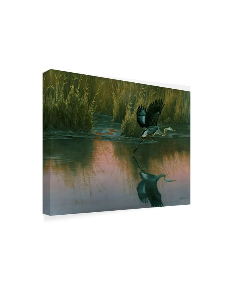 Wilhelm Goebel 'Evening Flight Great Blue Heron' Canvas Art - 24" x 32"