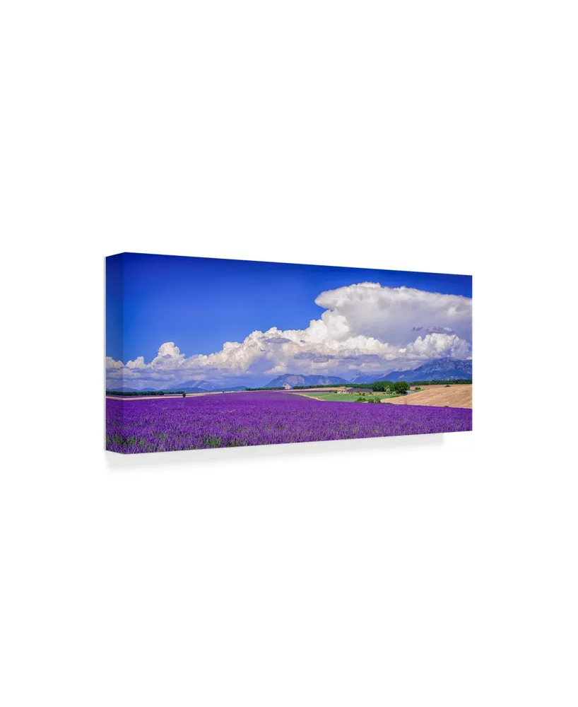 Michael Blanchette Photography 'Cloud Bank Over Lavender Panorama' Canvas Art - 32" x 14"