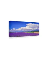 Michael Blanchette Photography 'Cloud Bank Over Lavender Panorama' Canvas Art - 32" x 14"