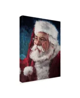 Meadowpaint 'Elderly Santa Portrait' Canvas Art