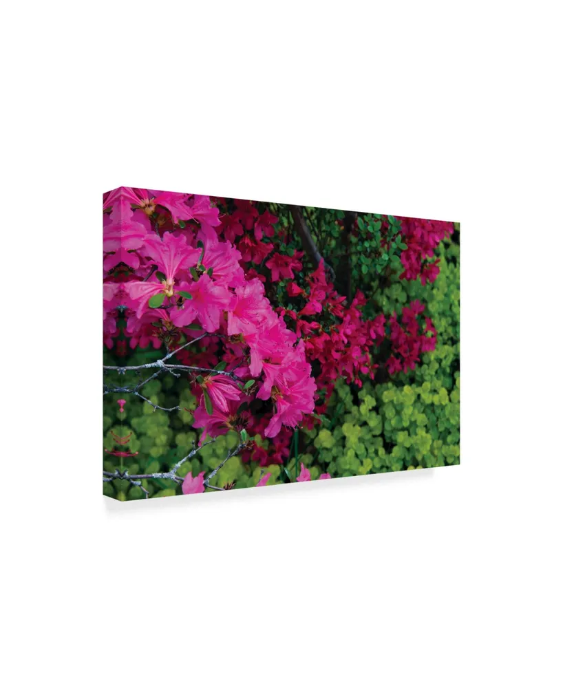 Kurt Shaffer 'Hot Pink, Red And Chartreuse' Canvas Art - 24" x 16"