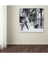 Hugh Evans 'Reindeer' Canvas Art - 14" x 14"